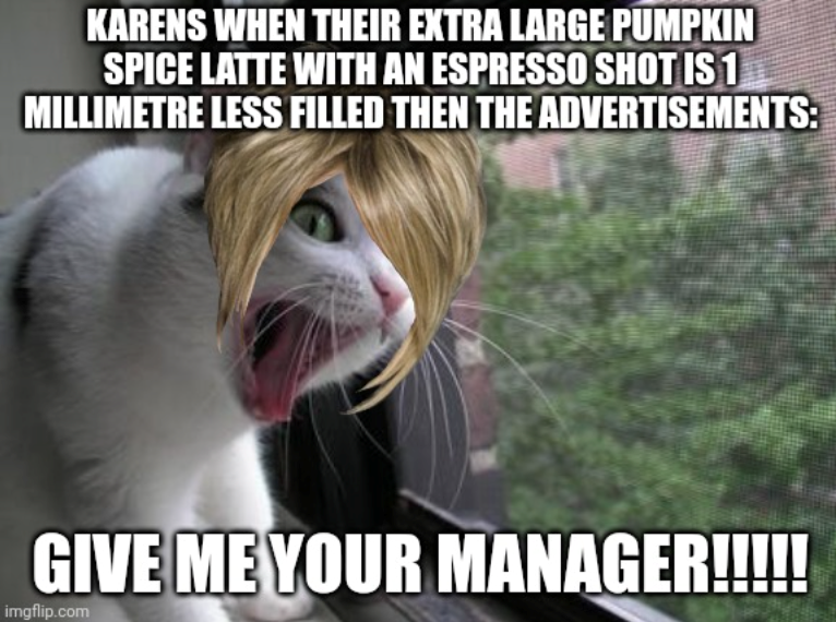 KARENS WHEN THEIR EXTRA LARGE PUMPKIN SPICE LATTE WITH AN ESPRESSO SHOT IS 1 MILLIMETRE LESS FILLED THEN THE ADVERTISEMENTS: GIVE ME YOUR MANAGER!!!!! imgflip.com