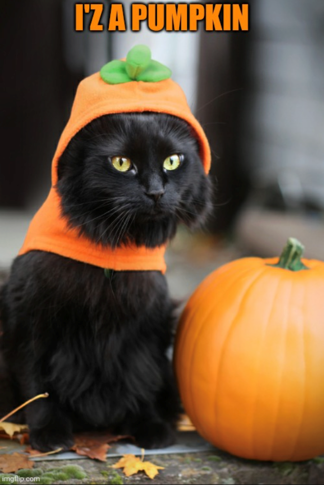 imgflip.com I'Z A PUMPKIN