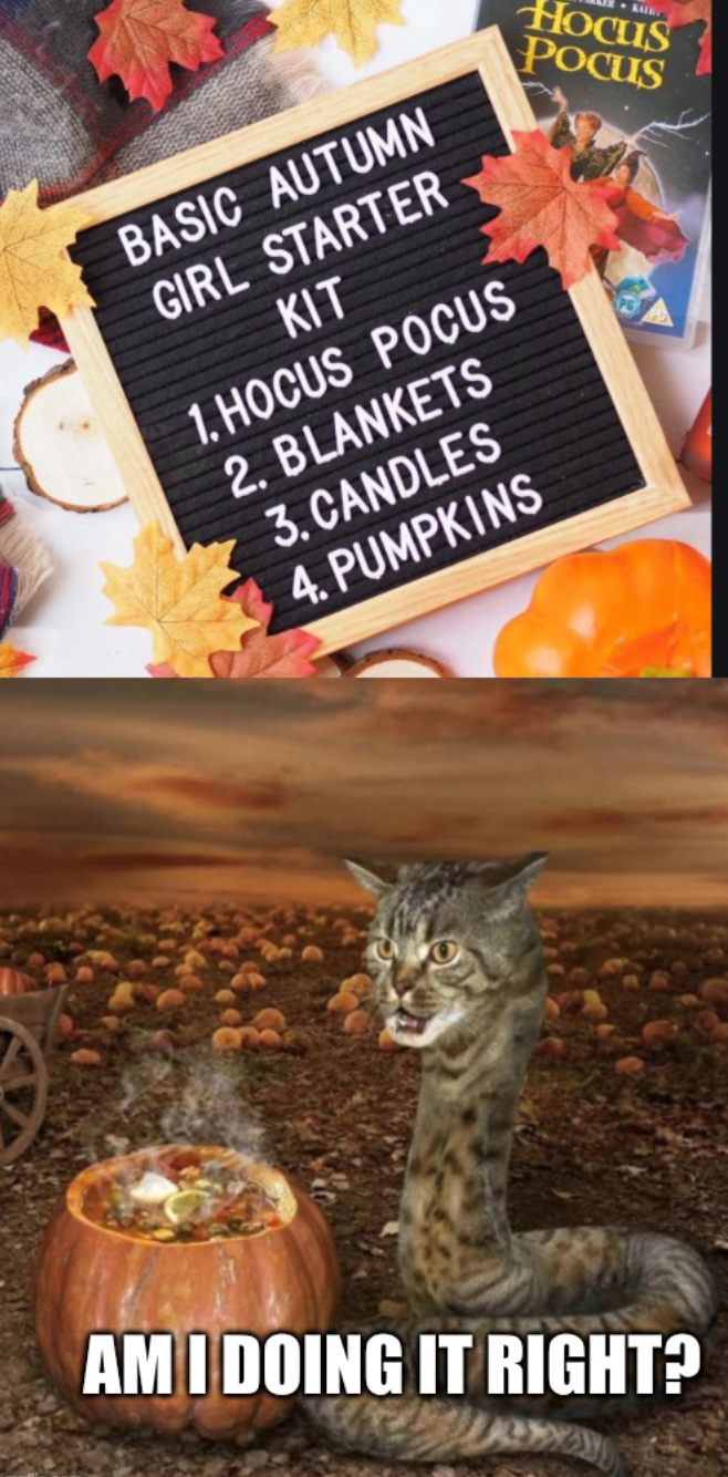 Hocus Pocus BASIC AUTUMN GIRL STARTER KIT 1.HOCUS POCUS 2. BLANKETS 3. CANDLES 4. PUMPKINS AM I DOING IT RIGHT?
