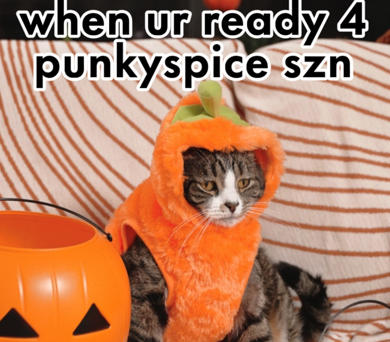 when ur ready 4 punkyspice szn