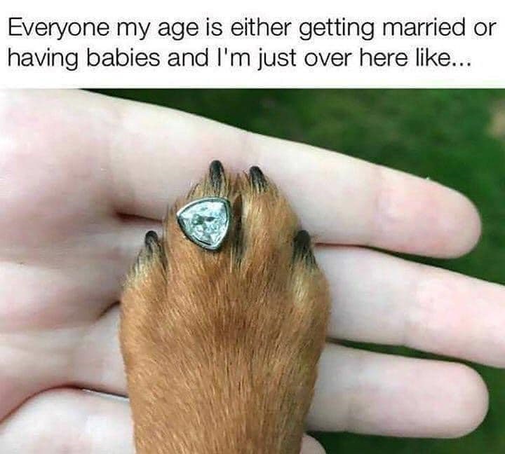 Everyone my age is either getting married or having babies and I'm just over here like...