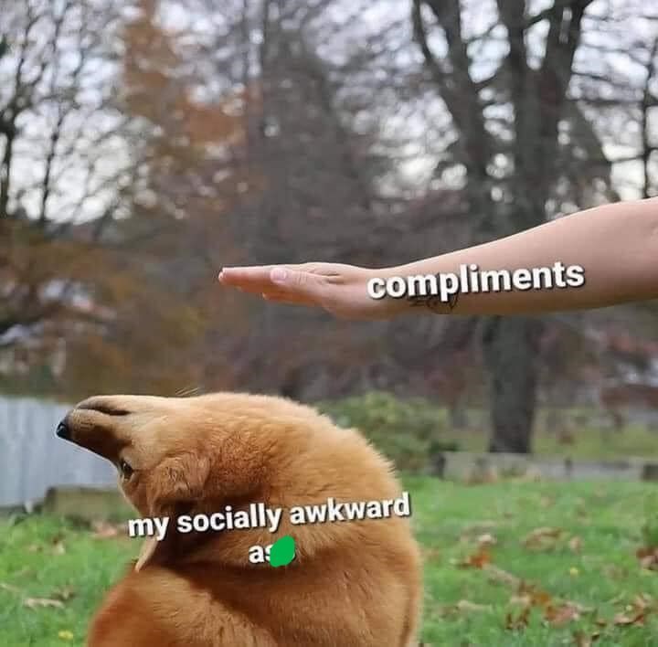 compliments my socially awkward as