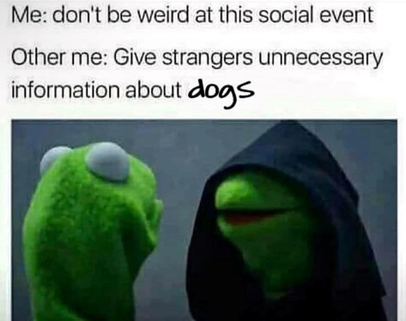 Me: don't be weird at this social event Other me: Give strangers unnecessary information about dogs