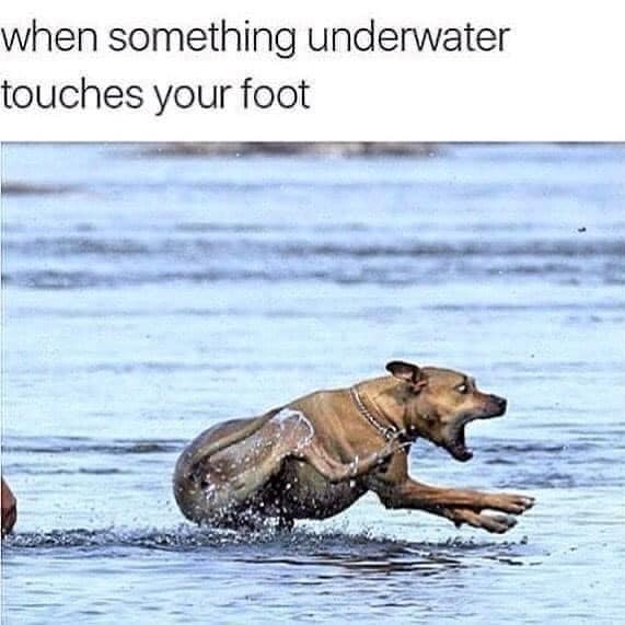 when something underwater touches your foot