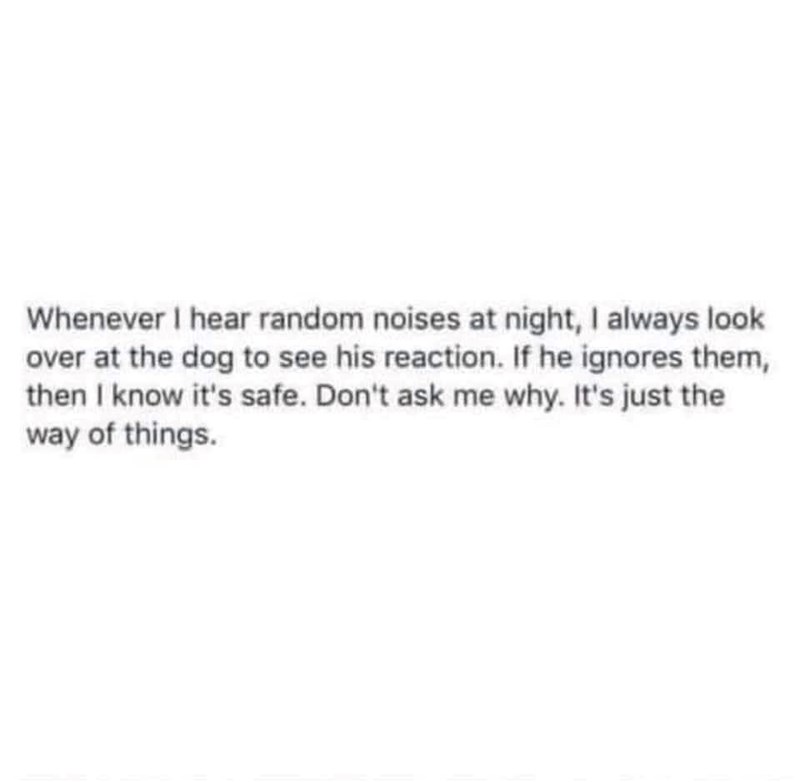 Whenever I hear random noises at night, I always look over at the dog to see his reaction. If he ignores them, then I know it's safe. Don't ask me why. It's just the way of things.