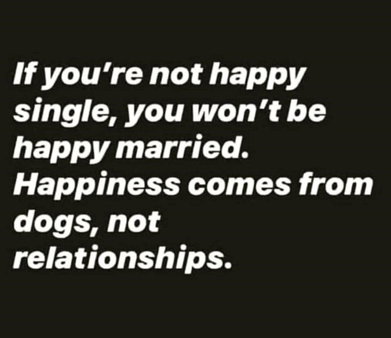 If you're not happy single, you won't be happy married. Happiness comes from dogs, not relationships.