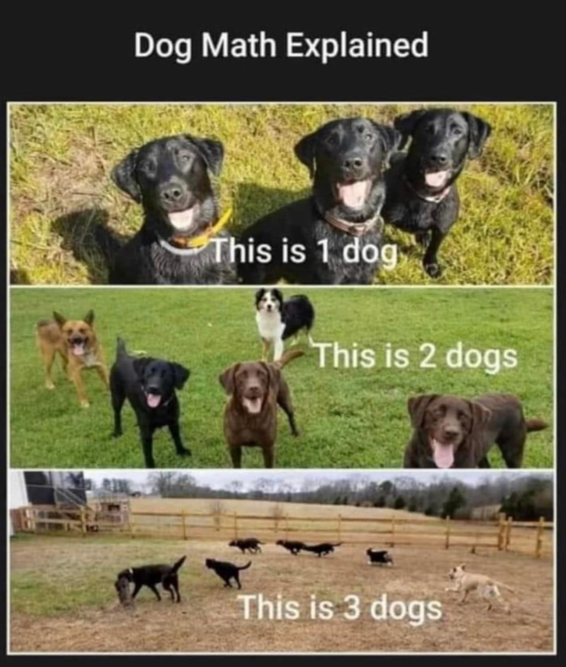Dog Math Explained This is 1 dog This is 2 dogs This is 3 dogs
