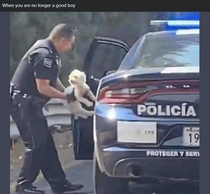When you are no longer a good boy POLICÍA OPER 19 PROTEGER Y SERI