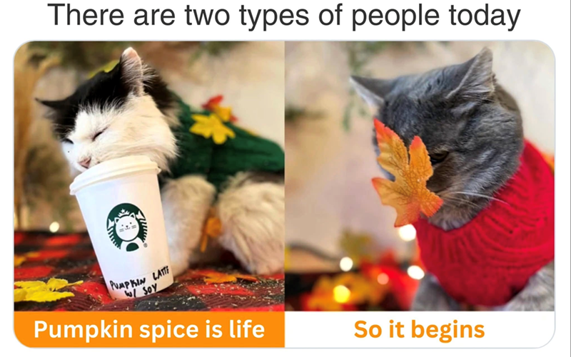 There are two types of people today PUMPKIN LATTE w/ Soy Pumpkin spice is life So it begins