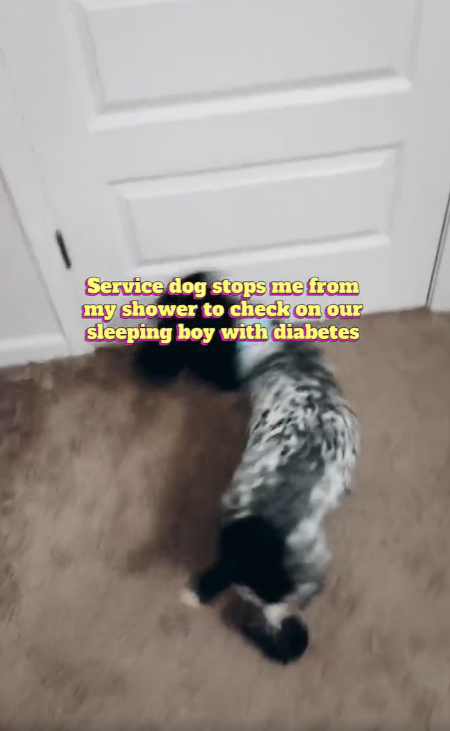 Service dog stops me from my shower to check on our sleeping boy with diabetes