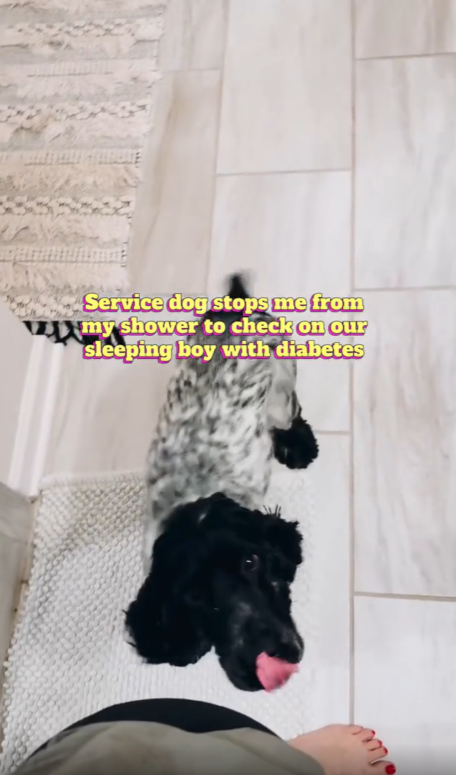 Лас Service dog stops me from my shower to check on our sleeping boy with diabetes