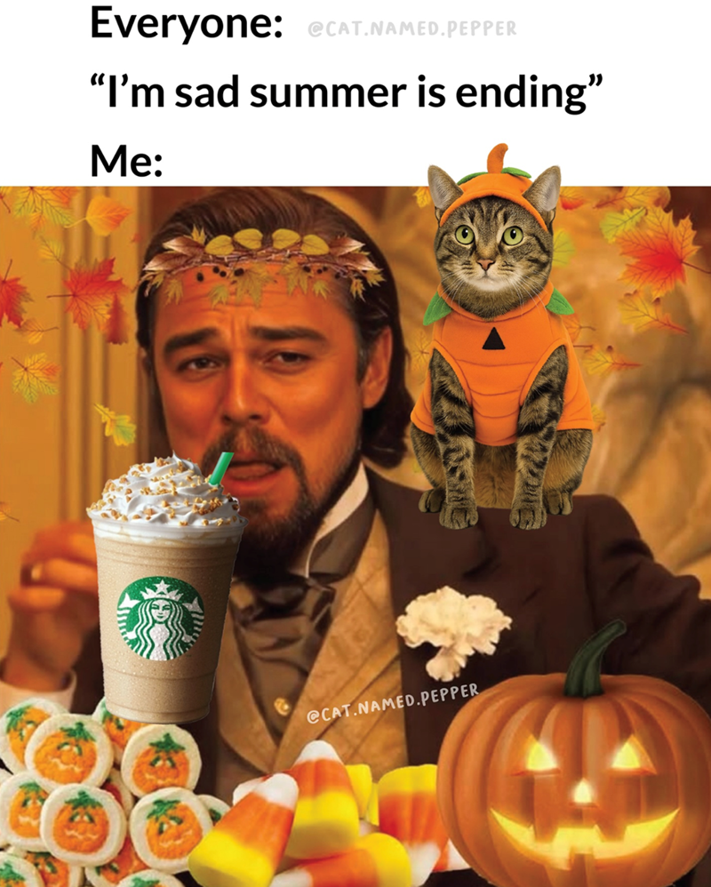 Everyone: @CAT.NAMED.PEPPER "I'm sad summer is ending" Me: @CAT.NAMED.PEPPER