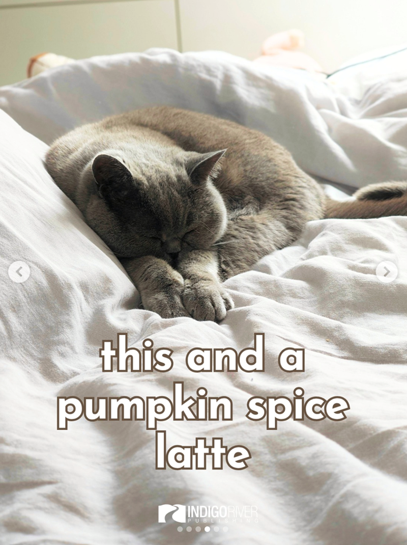 this and a pumpkin spice latte INDIGORIVER PUBLISHING