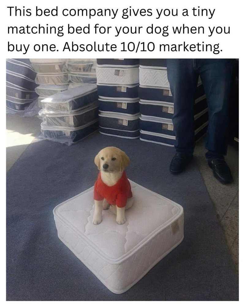 This bed company gives you a tiny matching bed for your dog when you buy one. Absolute 10/10 marketing.
