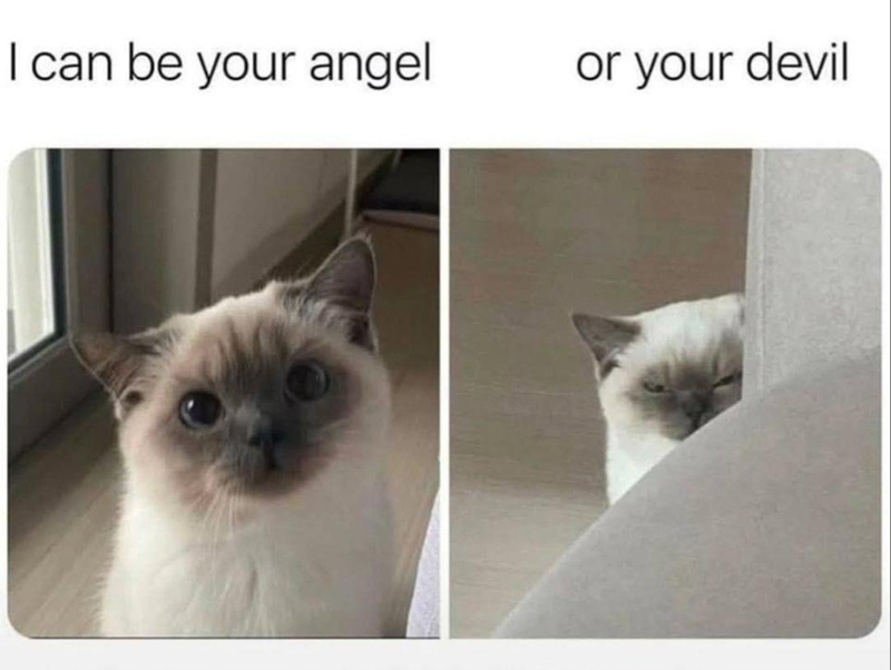 I can be your angel or your devil