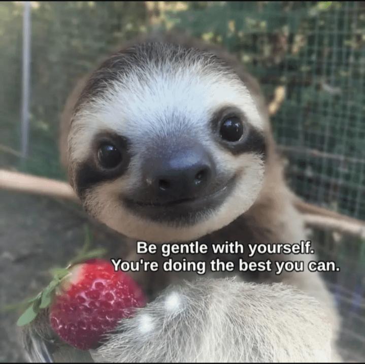 Be gentle with yourself. You're doing the best you can.