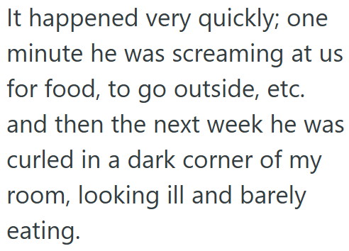 It happened very quickly; one minute he was screaming at us for food, to go outside, etc. and then the next week he was curled in a dark corner of my room, looking ill and barely eating.