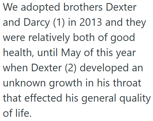 We adopted brothers Dexter and Darcy (1) in 2013 and they were relatively both of good health, until May of this year when Dexter (2) developed an unknown growth in his throat that effected his general quality of life.