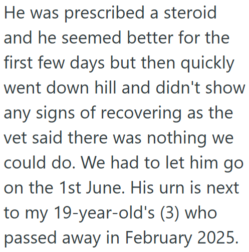 He was prescribed a steroid and he seemed better for the first few days but then quickly went down hill and didn't show any signs of recovering as the vet said there was nothing we could do. We had to let him go on the 1st June. His urn is next to my 19-year-old's (3) who passed away in February 2025.