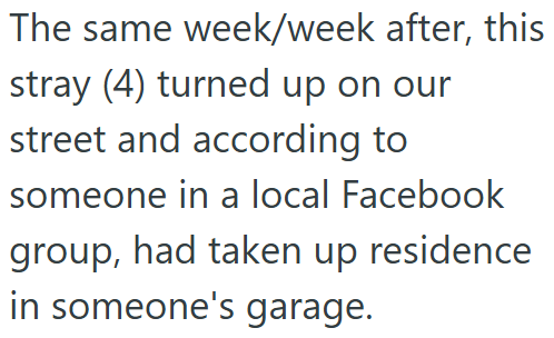 The same week/week after, this stray (4) turned up on our street and according to someone in a local Facebook group, had taken up residence in someone's garage.
