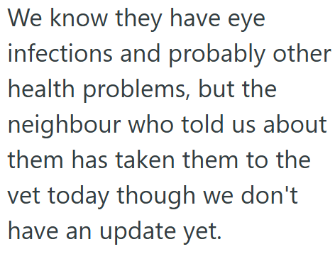 We know they have eye infections and probably other health problems, but the neighbour who told us about them has taken them to the vet today though we don't have an update yet.