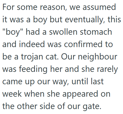 For some reason, we assumed it was a boy but eventually, this "boy" had a swollen stomach and indeed was confirmed to be a trojan cat. Our neighbour was feeding her and she rarely came up our way, until last week when she appeared on the other side of our gate.