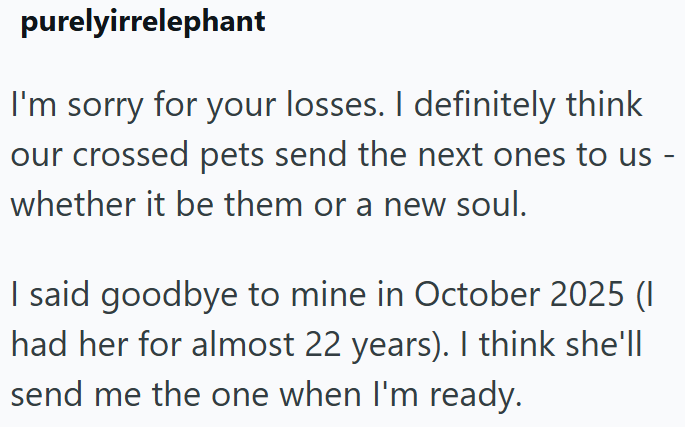 purelyirrelephant I'm sorry for your losses. I definitely think our crossed pets send the next ones to us - whether it be them or a new soul. I said goodbye to mine in October 2025 (1 had her for almost 22 years). I think she'll send me the one when I'm ready.