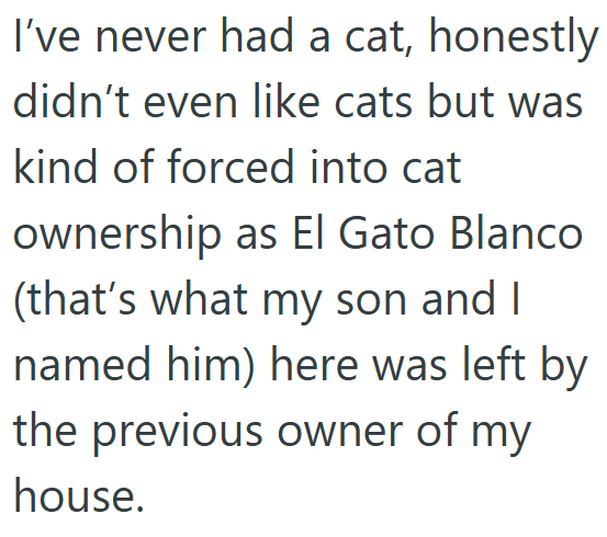 I've never had a cat, honestly didn't even like cats but was kind of forced into cat ownership as El Gato Blanco (that's what my son and I named him) here was left by the previous owner of my house.