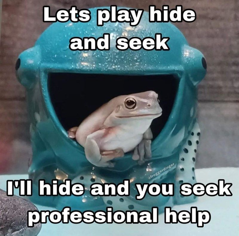 Lets play hide and seek afroggerdinger I'll hide and you seek professional help