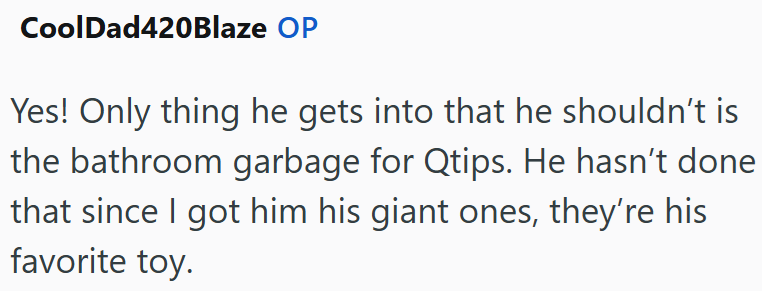 CoolDad420Blaze OP Yes! Only thing he gets into that he shouldn't is the bathroom garbage for Qtips. He hasn't done that since I got him his giant ones, they're his favorite toy.