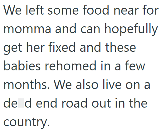 We left some food near for momma and can hopefully get her fixed and these babies rehomed in a few months. We also live on a de d end road out in the country.