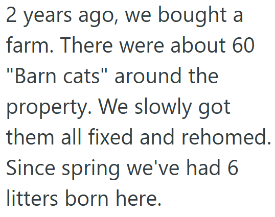 2 years ago, we bought a farm. There were about 60 "Barn cats" around the property. We slowly got them all fixed and rehomed. Since spring we've had 6 litters born here.