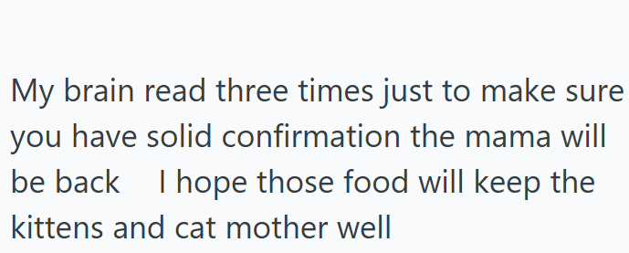 My brain read three times just to make sure you have solid confirmation the mama will be back I hope those food will keep the kittens and cat mother well