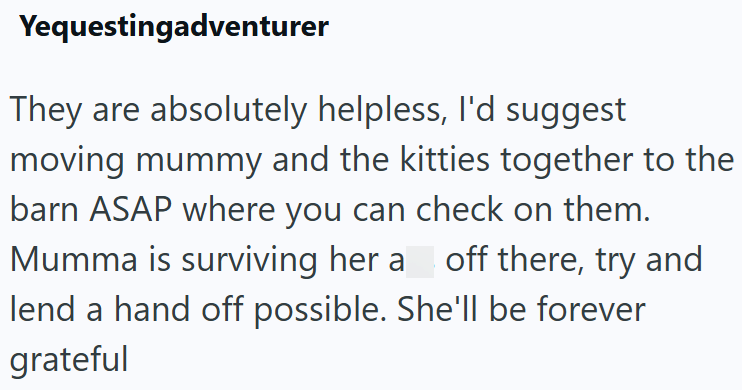 Yequestingadventurer They are absolutely helpless, I'd suggest moving mummy and the kitties together to the barn ASAP where you can check on them. Mumma is surviving her a off there, try and lend a hand off possible. She'll be forever grateful