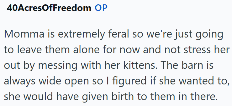 40AcresOfFreedom OP Momma is extremely feral so we're just going to leave them alone for now and not stress her out by messing with her kittens. The barn is always wide open so I figured if she wanted to, she would have given birth to them in there.