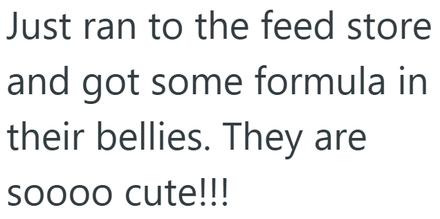 Just ran to the feed store and got some formula in their bellies. They are soooo cute!!!