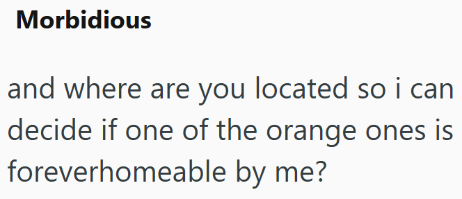 Morbidious and where are you located so i can decide if one of the orange ones is foreverhomeable by me?