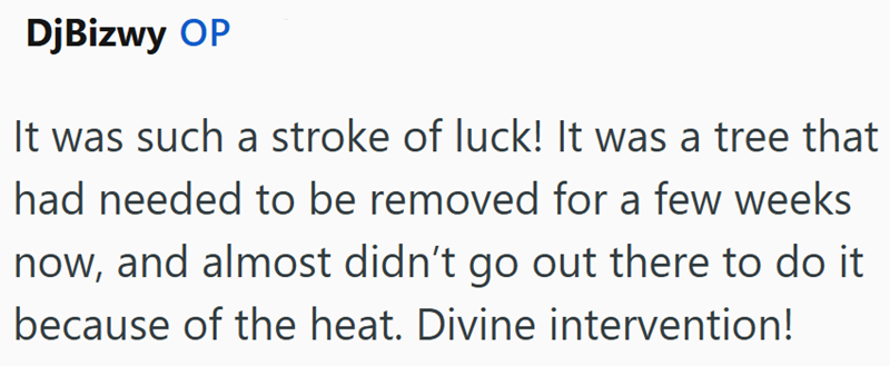DjBizwy OP It was such a stroke of luck! It was a tree that had needed to be removed for a few weeks now, and almost didn't go out there to do it because of the heat. Divine intervention!