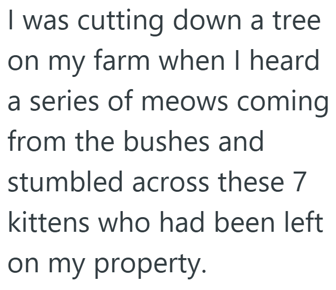 I was cutting down a tree on my farm when I heard a series of meows coming from the bushes and stumbled across these 7 kittens who had been left on my property.