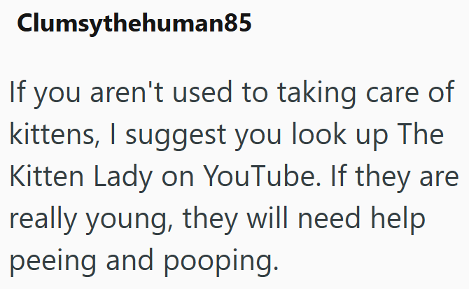 Clumsythehuman85 If you aren't used to taking care of kittens, I suggest you look up The Kitten Lady on YouTube. If they are really young, they will need help peeing and pooping.