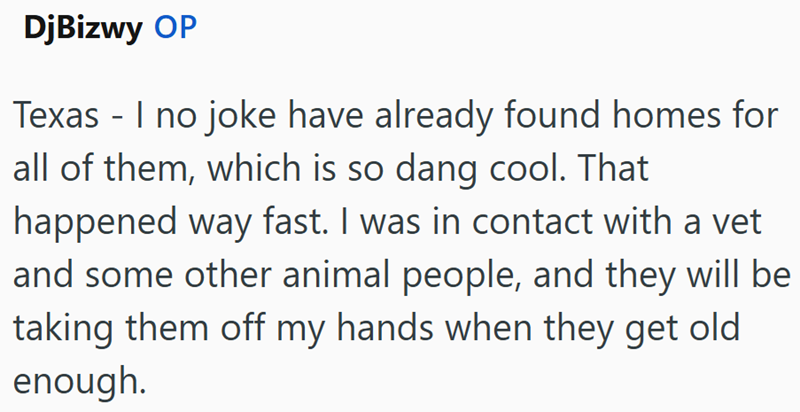 DjBizwy OP Texas - I no joke have already found homes for all of them, which is so dang cool. That happened way fast. I was in contact with a vet and some other animal people, and they will be taking them off my hands when they get old enough.