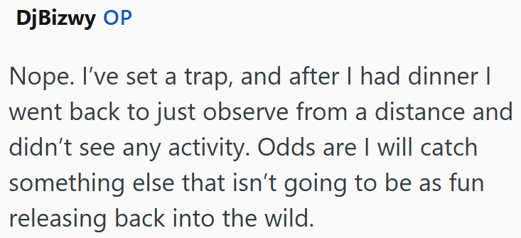 DjBizwy OP Nope. I've set a trap, and after I had dinner I went back to just observe from a distance and didn't see any activity. Odds are I will catch something else that isn't going to be as fun releasing back into the wild.