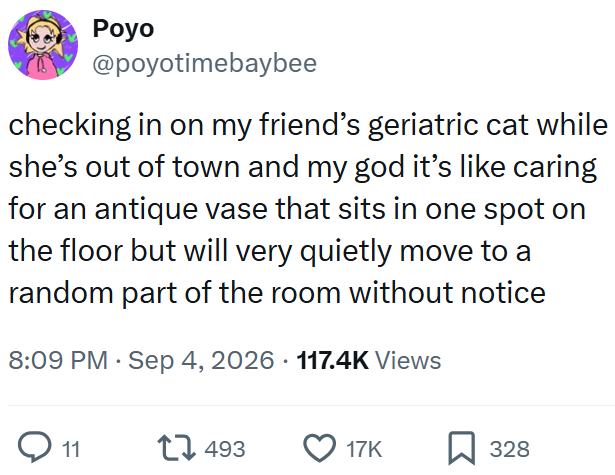 Poyo @poyotimebaybee checking in on my friend's geriatric cat while she's out of town and my god it's like caring for an antique vase that sits in one spot on the floor but will very quietly move to a random part of the room without notice 8:09 PM Sep 4, 2026 117.4K Views 11 17493 17K 328