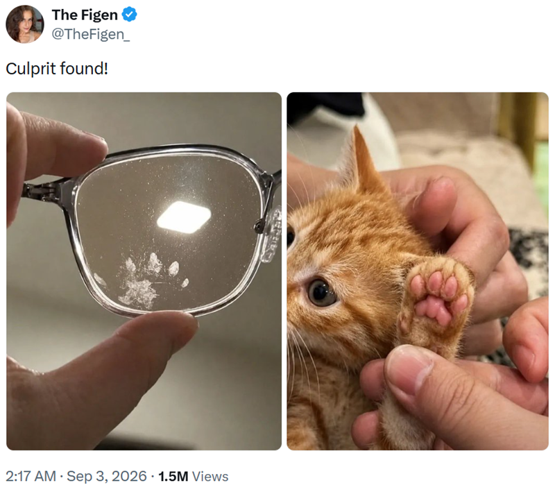 The Figen @TheFigen_ Culprit found! 2:17 AM · Sep 3, 2026 1.5M Views