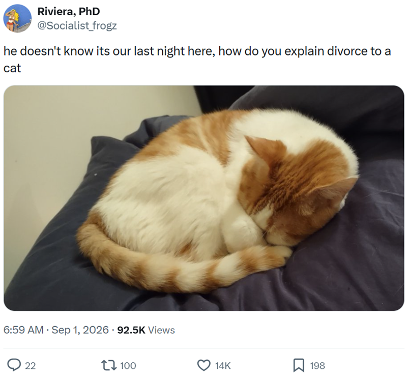 Riviera, PhD @Socialist_frogz he doesn't know its our last night here, how do you explain divorce to a cat • 6:59 AM Sep 1, 2026 92.5K Views 22 100 14K 198