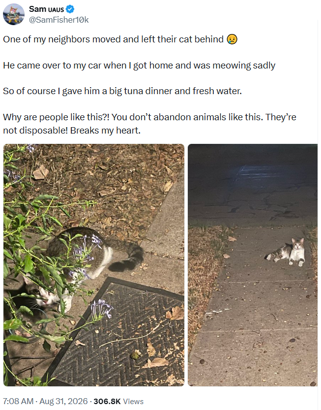 Sam UAUS @SamFisher10k One of my neighbors moved and left their cat behind ③ He came over to my car when I got home and was meowing sadly So of course I gave him a big tuna dinner and fresh water. Why are people like this?! You don't abandon animals like this. They're not disposable! Breaks my heart. 7:08 AM - Aug 31, 2026-306.8K Views