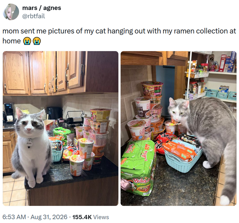 mars/agnes @rbtfail mom sent me pictures of my cat hanging out with my ramen collection at home E HOL 6:53 AM - Aug 31, 2026 155.4K Views uldak 5 Bulad Spicy Ra Bull's Te Buldt Tacy Cheerios