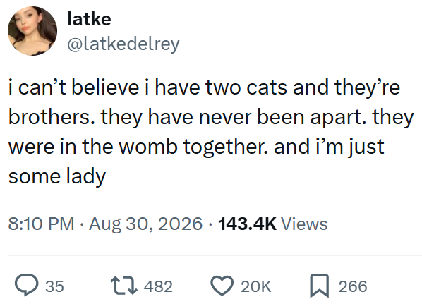 latke @latkedelrey i can't believe i have two cats and they're brothers. they have never been apart. they were in the womb together. and i'm just some lady • 8:10 PM - Aug 30, 2026 143.4K Views > 35 17482 20K ☐ 266