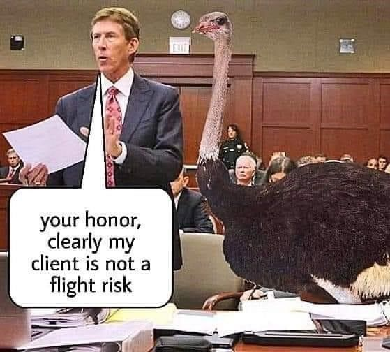 your honor, clearly my client is not a flight risk