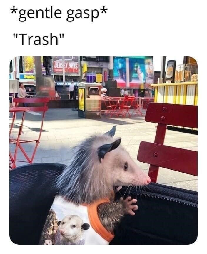 *gentle gasp* "Trash" JERSEY ROYS